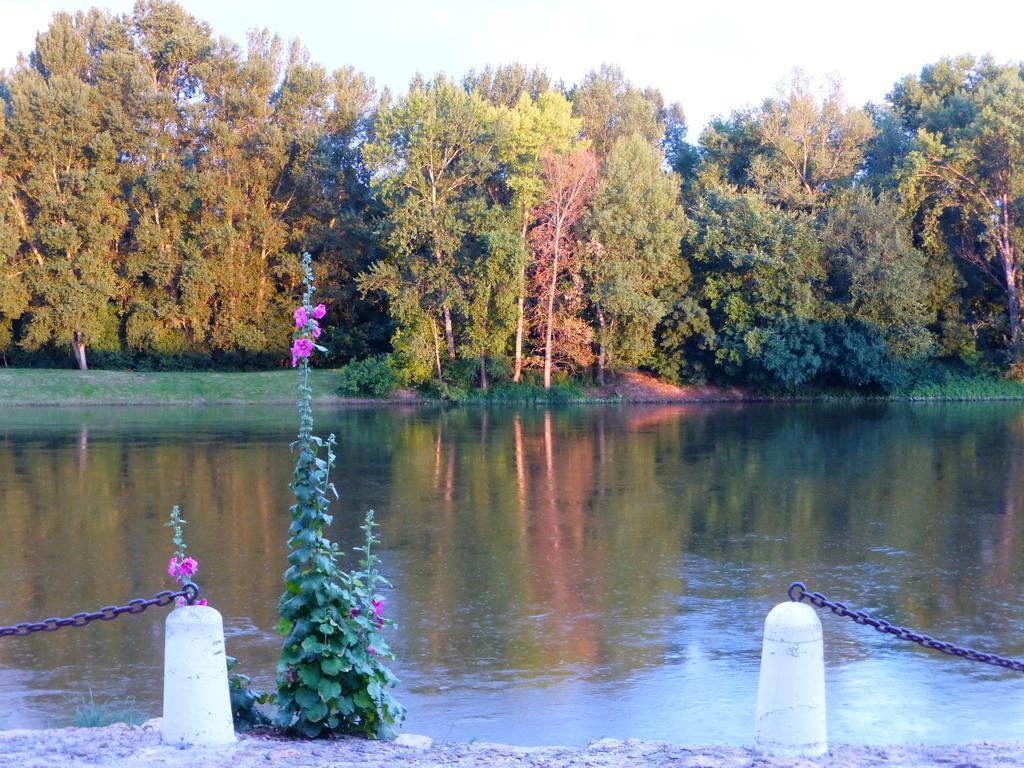Escale de Loire Gîte Chouzé-sur-Loire Extérieur photo